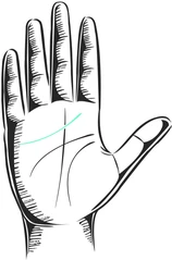 A hand with the heart line highlighted